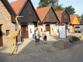 Surduk festival Baranja